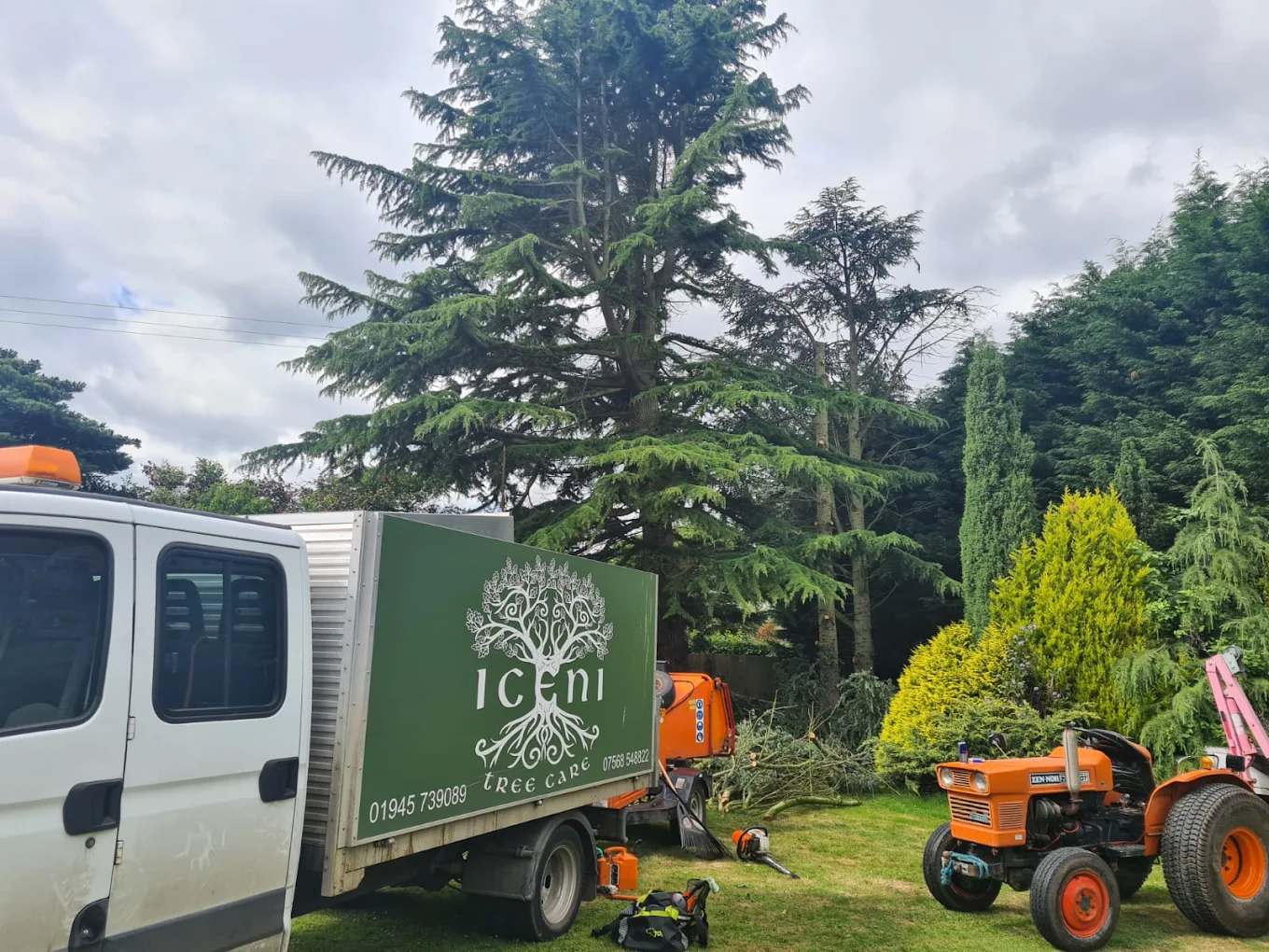 Iceni van on site with large tree